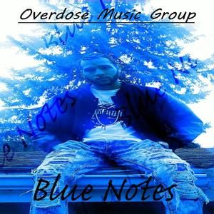 Meet your Posher, Donovan